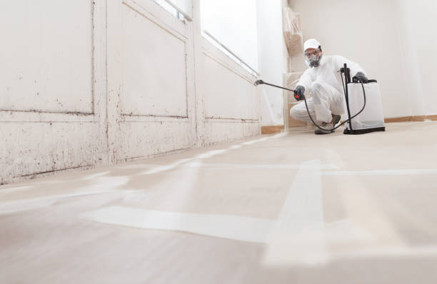 24/7 Emergency Mold Testing experts in Allensville, PA